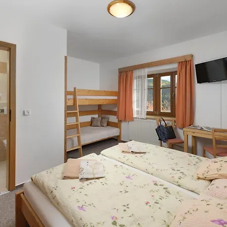 U Novotnych Pensionat 2*