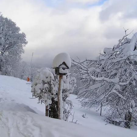 Pensionat U Novotnych 2*