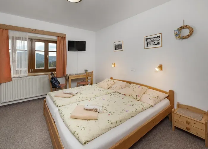 ゲストハウス U Novotnych 2*