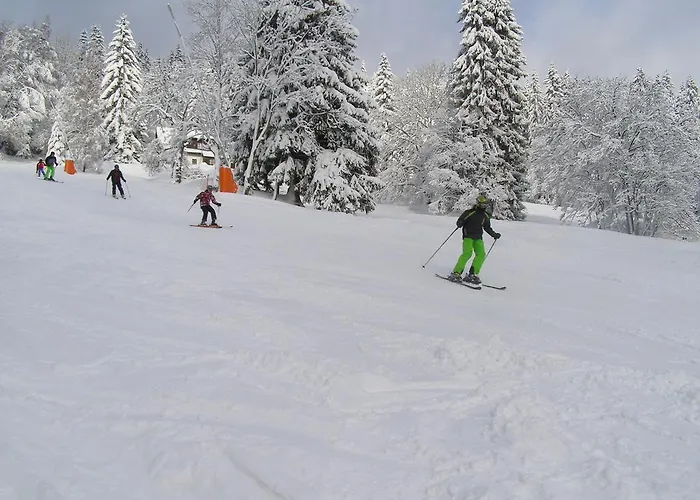 U Novotnych スピンドレルフ・ムリン