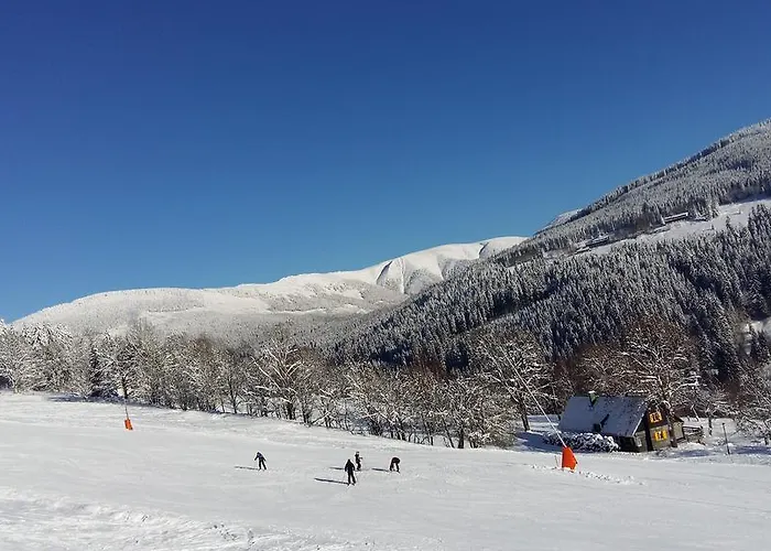 U Novotnych 2* スピンドレルフ・ムリン