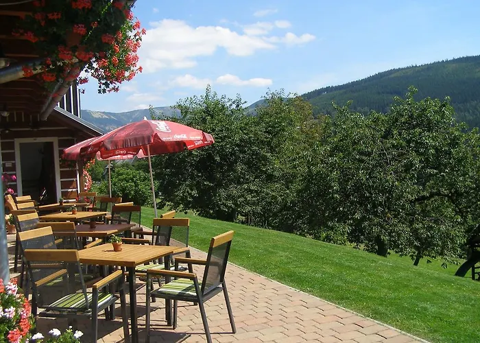 U Novotnych ゲストハウス スピンドレルフ・ムリン