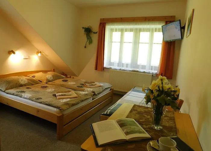 U Novotnych ゲストハウス スピンドレルフ・ムリン