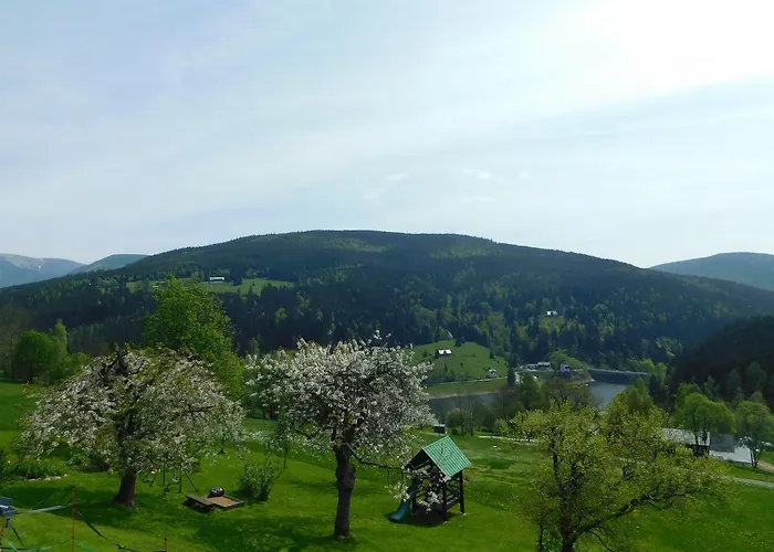 U Novotnych ゲストハウス スピンドレルフ・ムリン