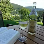 Gæstehus U Novotnych