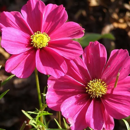 尤纳纹勒奇旅馆 招待所