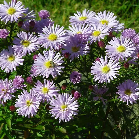 尤纳纹勒奇旅馆