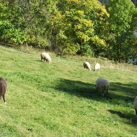 尤纳纹勒奇旅馆 Špindlerŭv Mlýn