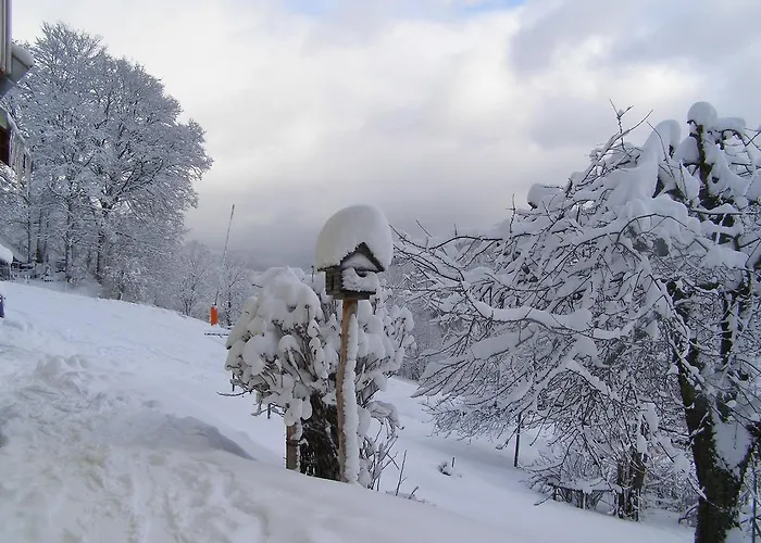 Pensjonat U Novotnych 2*