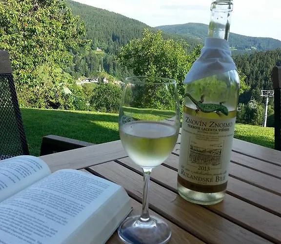 Pensjonat U Novotnych