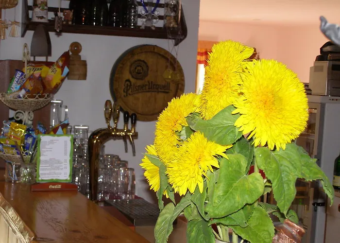 U Novotnych Szpindlerowy Młyn