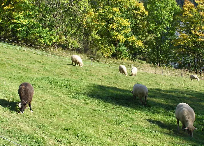 U Novotnych Szpindlerowy Młyn