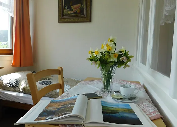 U Novotnych Pensjonat 2*